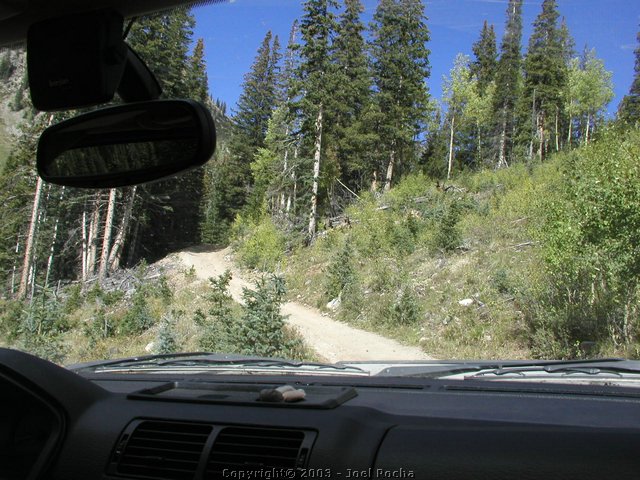 P1010171.JPG