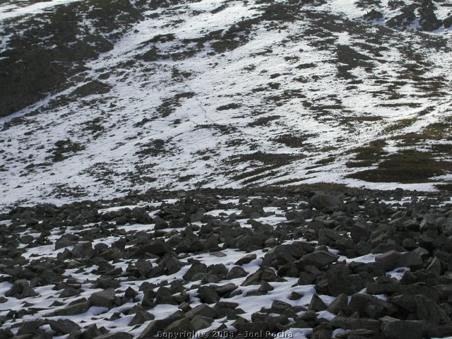 P1010186.JPG