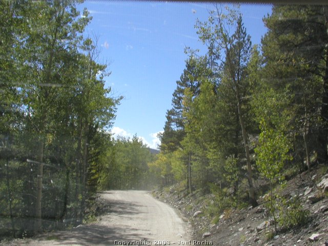 P1010228.JPG