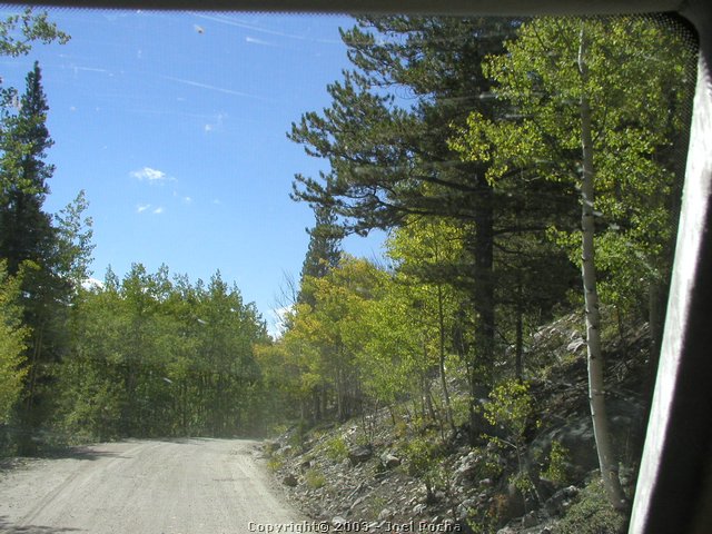 P1010229.JPG