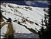 P1010037.JPG