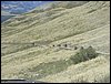 P1010049.JPG