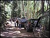 P1010071.JPG