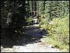 P1010088.JPG