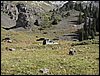 P1010124.JPG