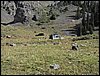 P1010125.JPG