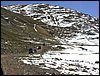 P1010134.JPG