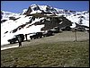 P1010149.JPG