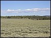 P1010158.JPG
