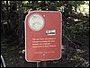 P1010212.JPG
