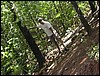 DSCN2825.JPG