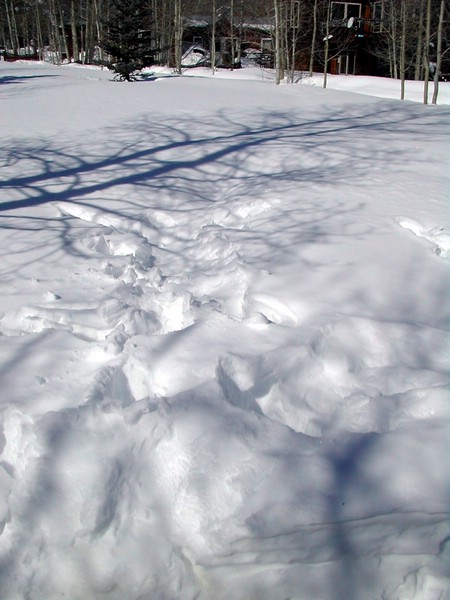 DSCN2774.JPG