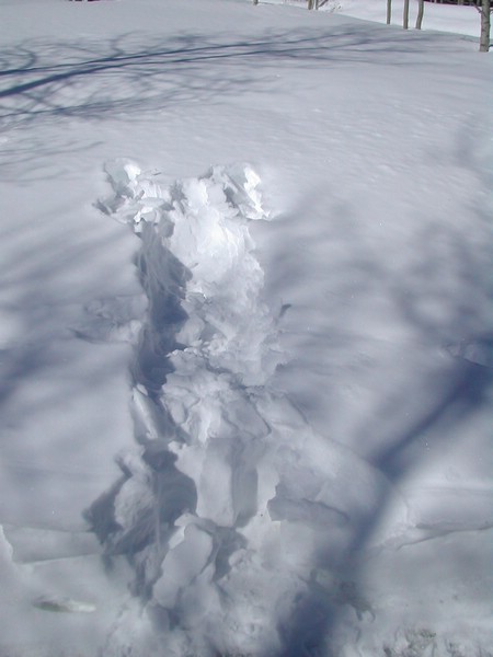 DSCN2775.JPG