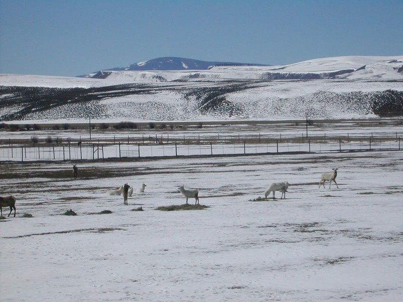 DSCN2777.JPG