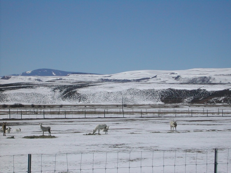 DSCN2778.JPG