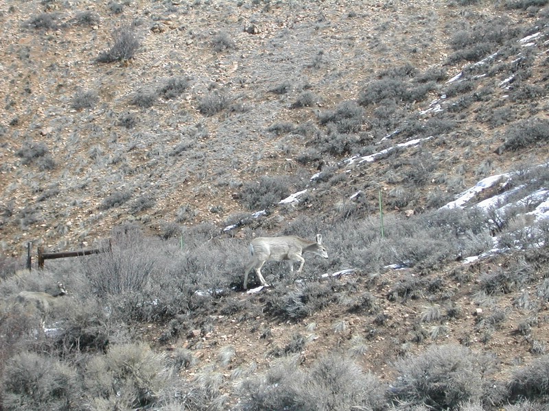 DSCN2779.JPG