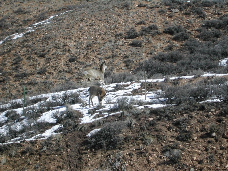 DSCN2780.JPG