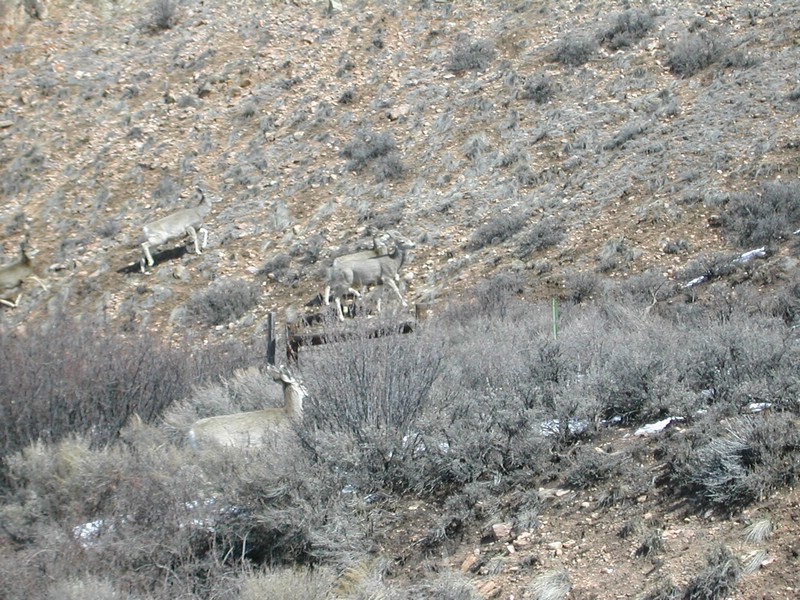 DSCN2781.JPG