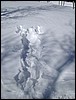 DSCN2775.JPG