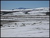 DSCN2777.JPG