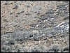DSCN2779.JPG