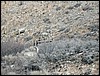 DSCN2781.JPG